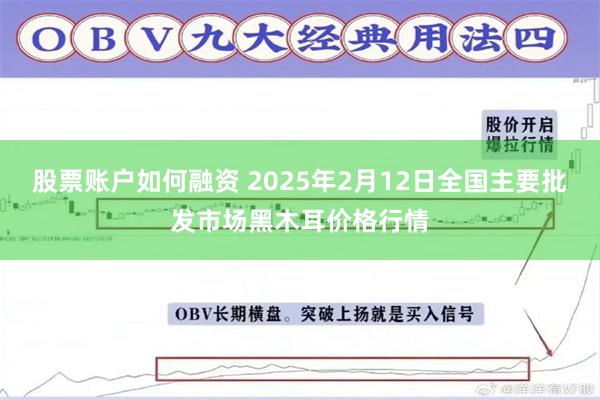 股票账户如何融资 2025年2月12日全国主要批发市场黑木耳价格行情