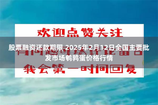 股票融资还款期限 2025年2月12日全国主要批发市场鹌鹑蛋价格行情