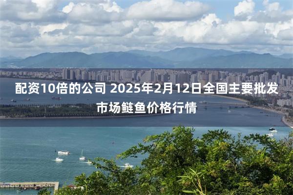 配资10倍的公司 2025年2月12日全国主要批发市场鲢鱼价格行情