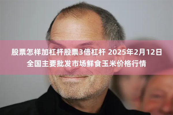 股票怎样加杠杆股票3倍杠杆 2025年2月12日全国主要批发市场鲜食玉米价格行情