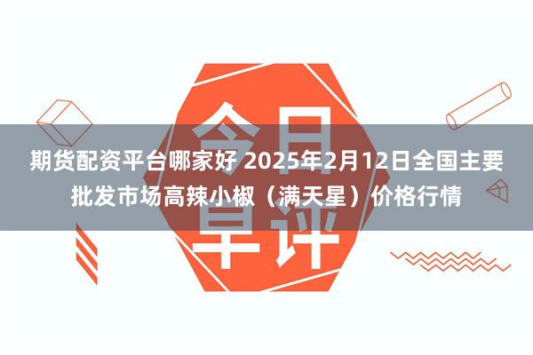 期货配资平台哪家好 2025年2月12日全国主要批发市场高辣小椒（满天星）价格行情