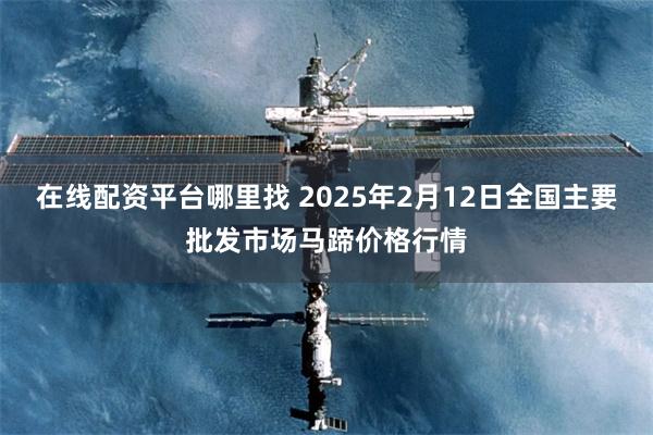 在线配资平台哪里找 2025年2月12日全国主要批发市场马蹄价格行情