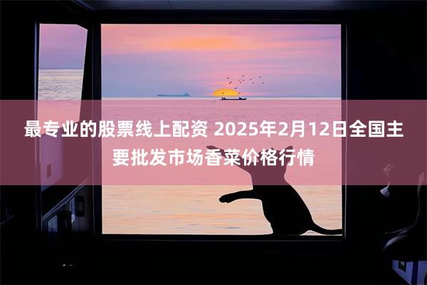 最专业的股票线上配资 2025年2月12日全国主要批发市场香菜价格行情