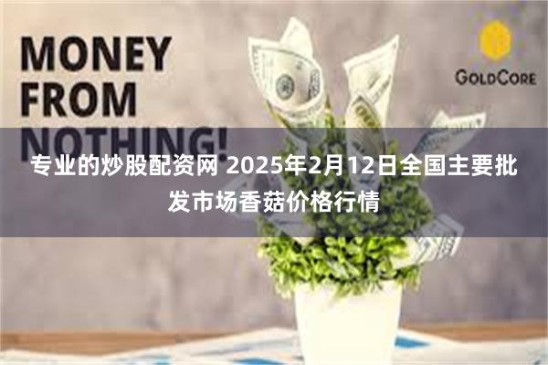 专业的炒股配资网 2025年2月12日全国主要批发市场香菇价格行情