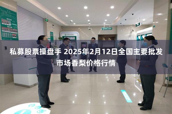 私募股票操盘手 2025年2月12日全国主要批发市场香梨价格行情