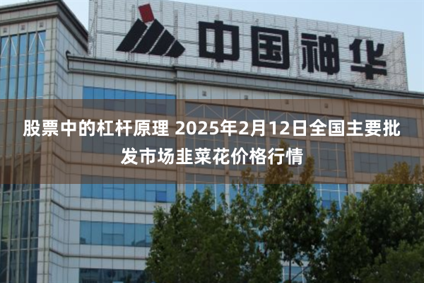 股票中的杠杆原理 2025年2月12日全国主要批发市场韭菜花价格行情