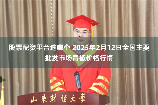 股票配资平台选哪个 2025年2月12日全国主要批发市场青椒价格行情