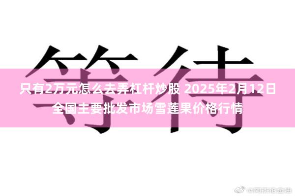 只有2万元怎么去弄杠杆炒股 2025年2月12日全国主要批发市场雪莲果价格行情