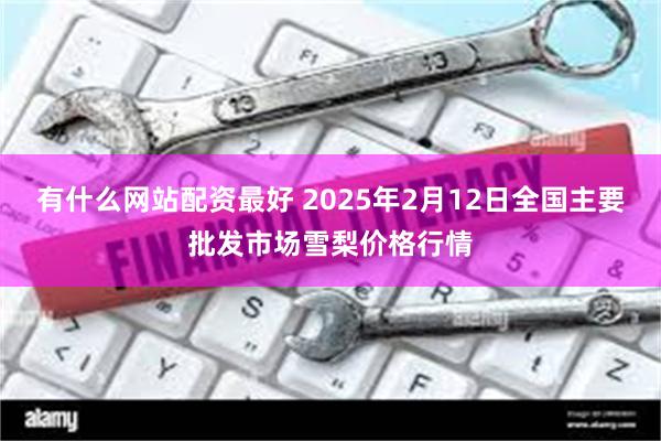 有什么网站配资最好 2025年2月12日全国主要批发市场雪梨价格行情