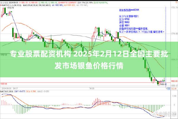 专业股票配资机构 2025年2月12日全国主要批发市场银鱼价格行情