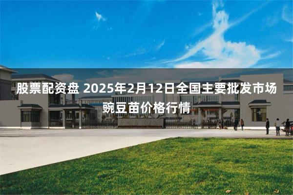 股票配资盘 2025年2月12日全国主要批发市场豌豆苗价格行情