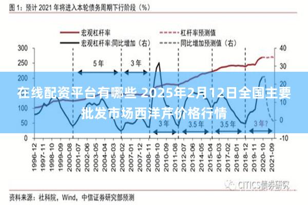 在线配资平台有哪些 2025年2月12日全国主要批发市场西洋芹价格行情