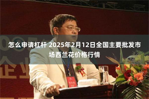 怎么申请杠杆 2025年2月12日全国主要批发市场西兰花价格行情