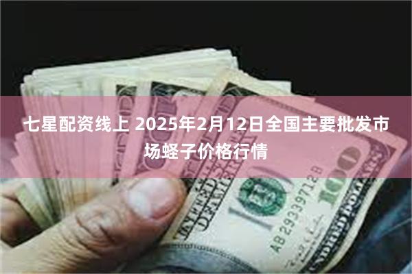 七星配资线上 2025年2月12日全国主要批发市场蛏子价格行情