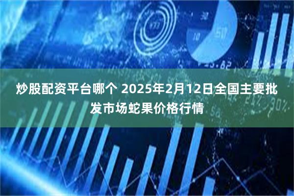 炒股配资平台哪个 2025年2月12日全国主要批发市场蛇果价格行情