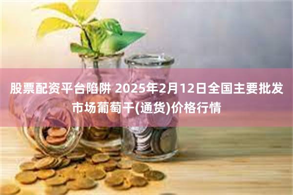 股票配资平台陷阱 2025年2月12日全国主要批发市场葡萄干(通货)价格行情