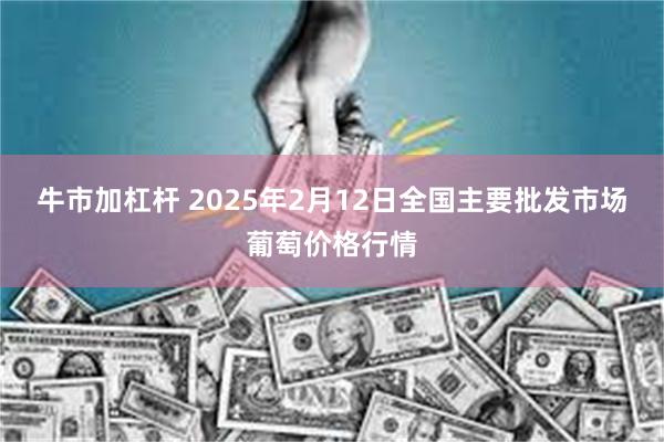 牛市加杠杆 2025年2月12日全国主要批发市场葡萄价格行情