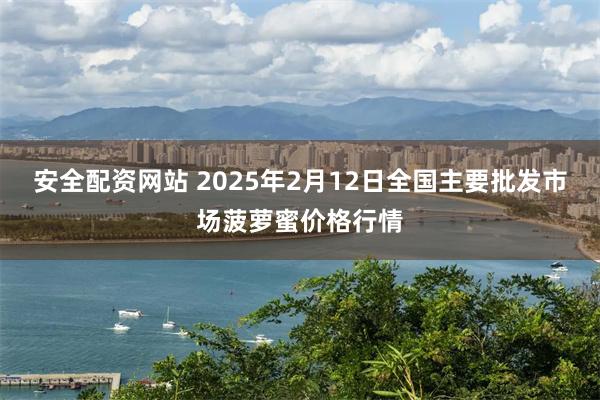 安全配资网站 2025年2月12日全国主要批发市场菠萝蜜价格行情