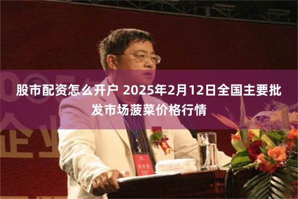 股市配资怎么开户 2025年2月12日全国主要批发市场菠菜价格行情