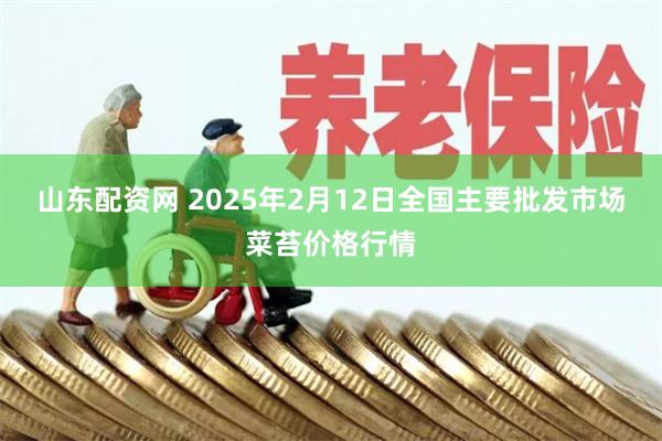 山东配资网 2025年2月12日全国主要批发市场菜苔价格行情