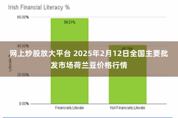 网上炒股放大平台 2025年2月12日全国主要批发市场荷兰豆价格行情