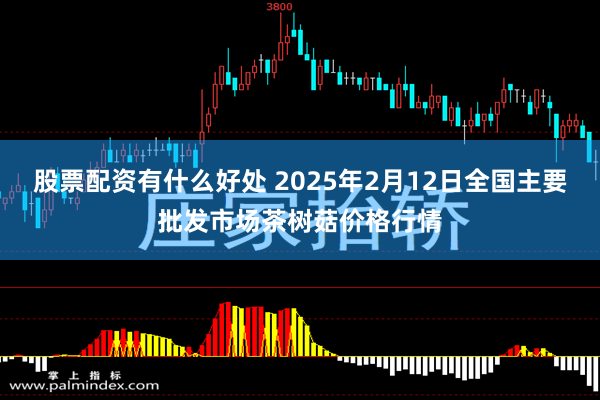 股票配资有什么好处 2025年2月12日全国主要批发市场茶树菇价格行情