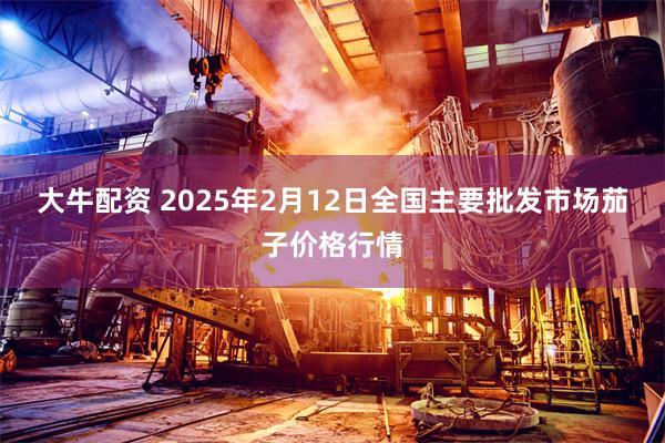 大牛配资 2025年2月12日全国主要批发市场茄子价格行情