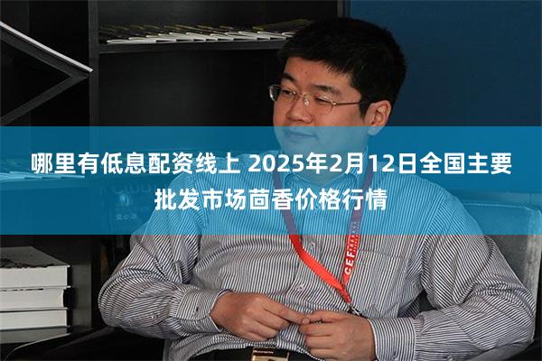 哪里有低息配资线上 2025年2月12日全国主要批发市场茴香价格行情