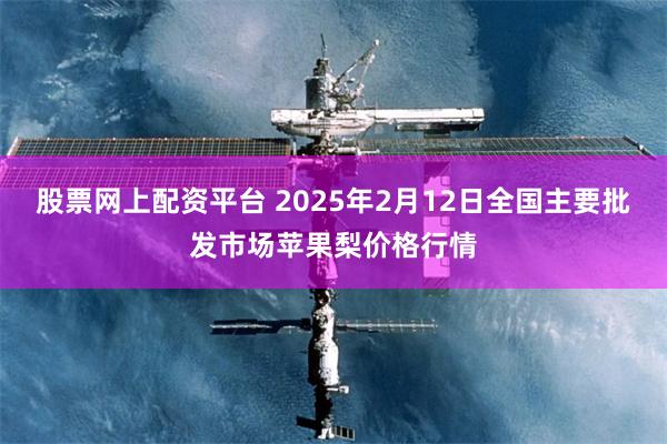 股票网上配资平台 2025年2月12日全国主要批发市场苹果梨价格行情