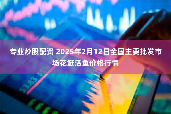 专业炒股配资 2025年2月12日全国主要批发市场花鲢活鱼价格行情