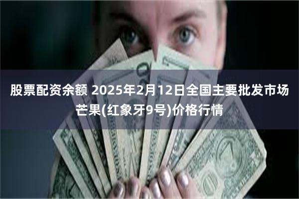 股票配资余额 2025年2月12日全国主要批发市场芒果(红象牙9号)价格行情