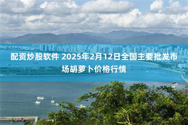 配资炒股软件 2025年2月12日全国主要批发市场胡萝卜价格行情