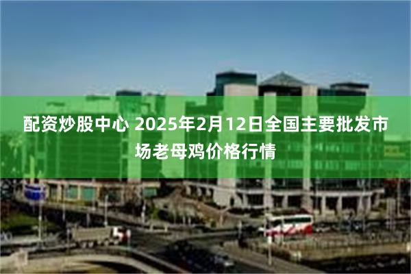 配资炒股中心 2025年2月12日全国主要批发市场老母鸡价格行情