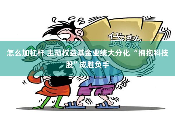 怎么加杠杆 主动权益基金业绩大分化 “拥抱科技股”成胜负手