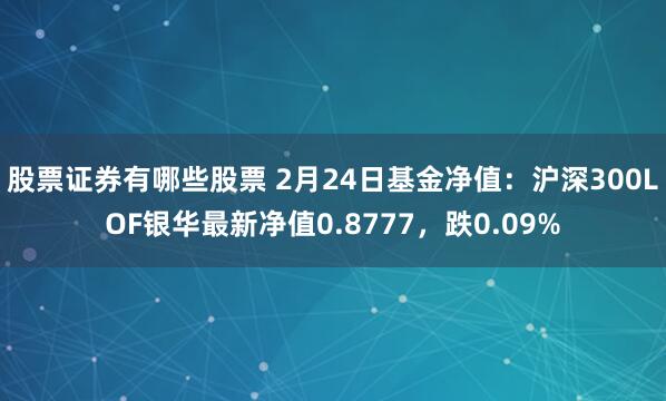 股票证券有哪些股票 2月24日基金净值：沪深300LOF银华最新净值0.8777，跌0.09%