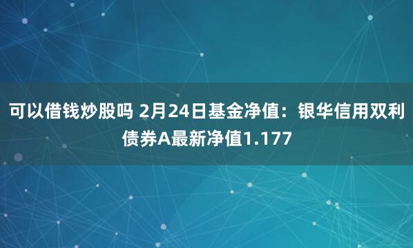 可以借钱炒股吗 2月24日基金净值：银华信用双利债券A最新净值1.177